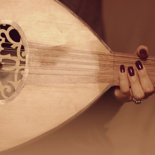 tumblr photo lonsome-dove 0