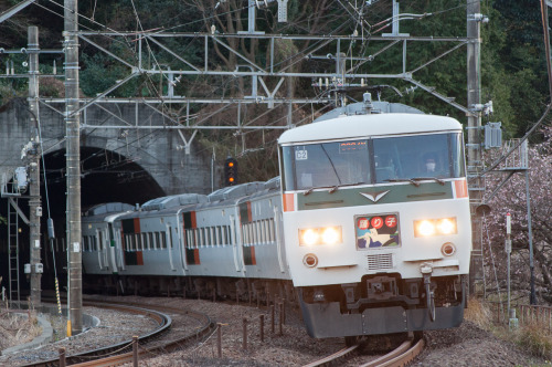 Limited express “Odoriko”.Between Nebukawa and Hayakawa on Tokaido Line.