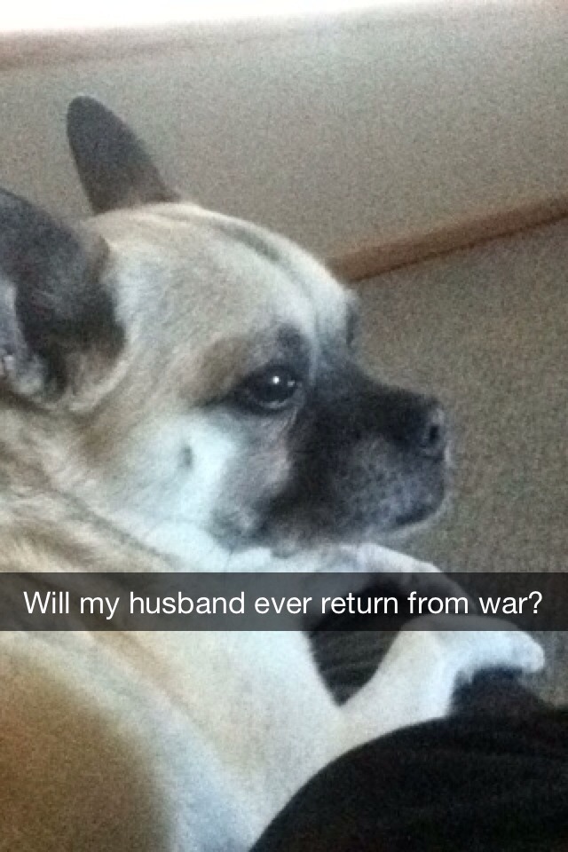 hereinmyownskin:  Actual snapchat from Garrett. I can’t even…
