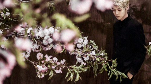 ludork:wherever I go, you bring me home🌸
