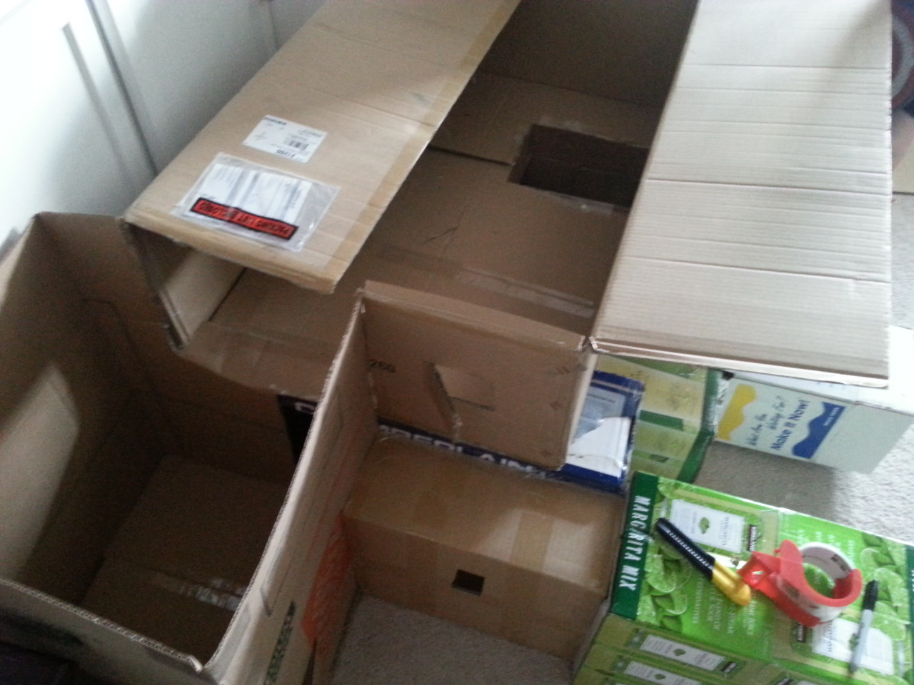 mariejacquelyn:  Guess who started on a cat fort today! We had a ton of boxes around,