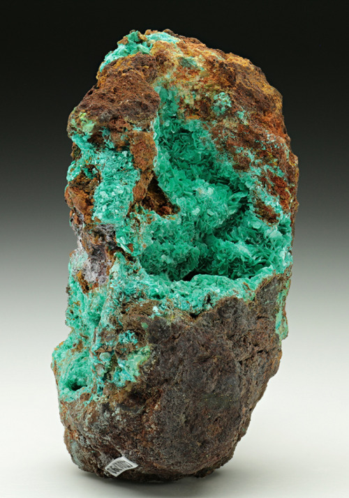 Chalcophyllite - Wheal Gorland, St Day, Cornwall, England, UK