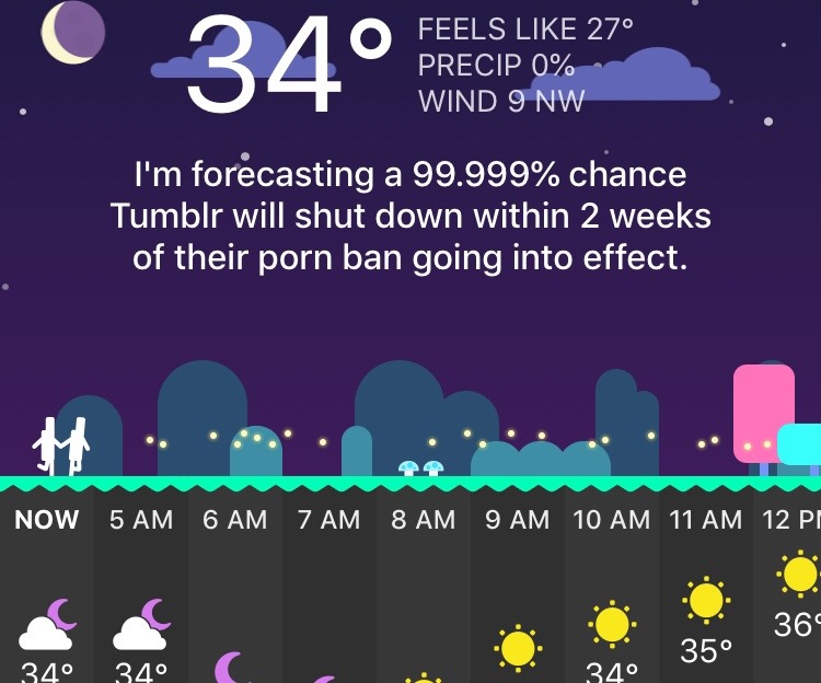 xenosaurus:  Even my comedy weather app is making fun of tumblr, oh my god??
