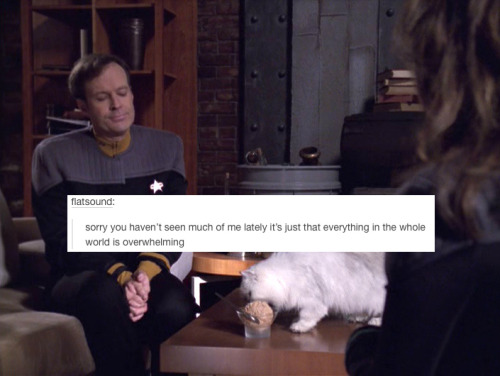 timetot: Star Trek: Voyager + Text Post Meme x x x x x x x