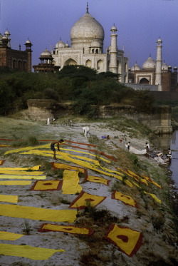 stevemccurrystudios:  The Colors of India