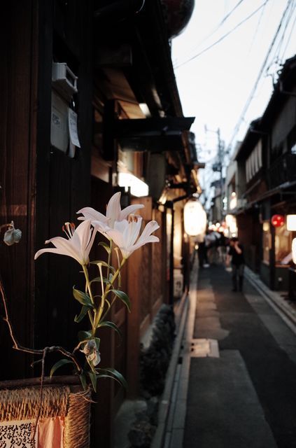 dmwajt:Streetphotography, Kyoto by dmwajt on EyeEm