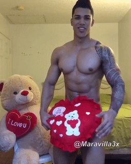 Shredded Gifs