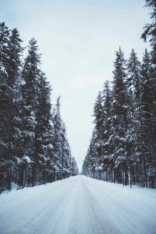 Je devais partager ceci @WeHeartIt weheartit.com/entry/220317479