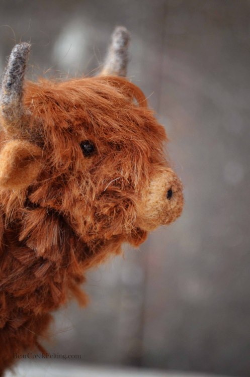 bearcreekfelting: Needle Felted Scottish Highland Calf by Teresa Perleberg