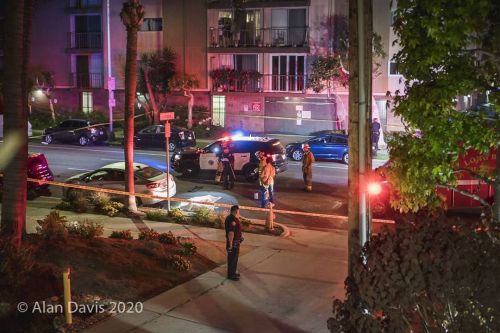 Another police chase, another hit-and-run fatality. This time right in front of my condo. Didnt sle