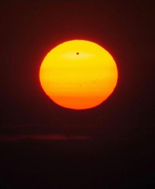 space-pics:Transit of Venus