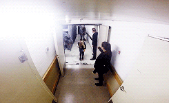   Chris Pratt Dinosaur Prank