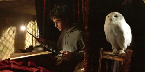 Harry Potter and the Prisoner of Azkaban (2004) dir. Alfonso Cuarón ⇢Favorite movie stills (P