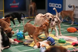 slytherinwithablog:  slytherinwithablog:  I don’t really care about the Super Bowl
