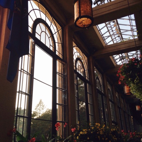 ohantom:sunsets in the conservatory are something else