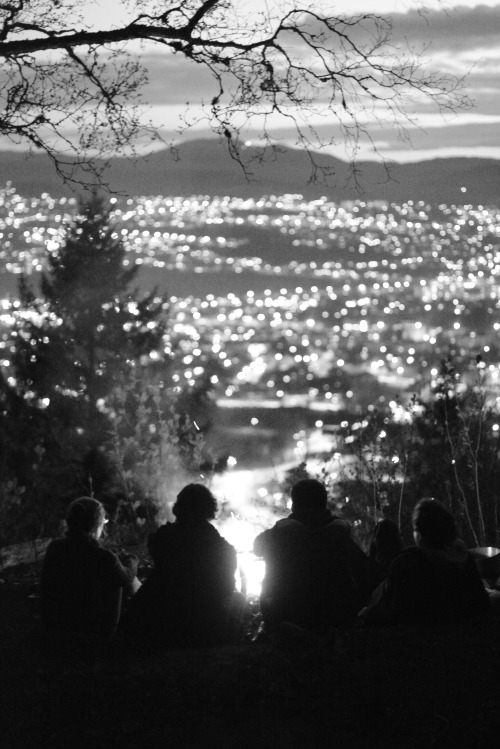 px-70:  Mille et une lumières - Trondheim 
