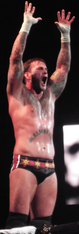 sexy wrestlers