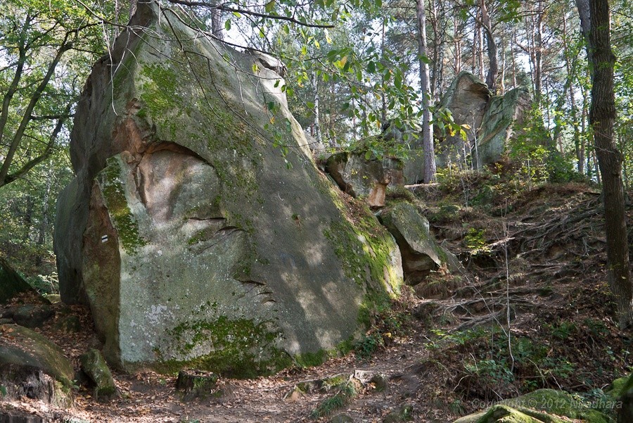 Skamieniałe Miasto - Stone City (literal translation: ‘city turned into stone’), a nature reserve near the town of Ciężkowice, Poland.
“ A legendary tale about the rock formations “tells a story about a cruel master who once ruled the local castle...