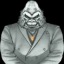 vanillagorillanbn