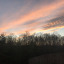 virginia4lovers