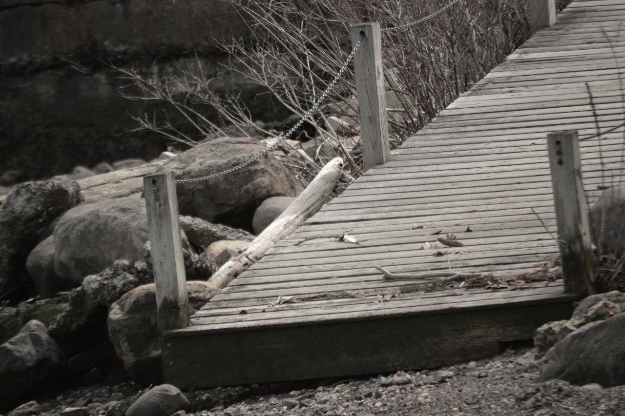 Tumblr Photo