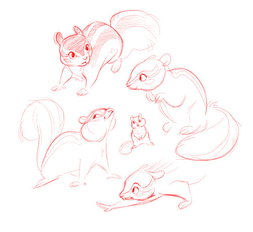 🐿️ doodle #squirrel#chipmunk#animal#character#Character Design#character art#sketch#drawing#hawdy#original