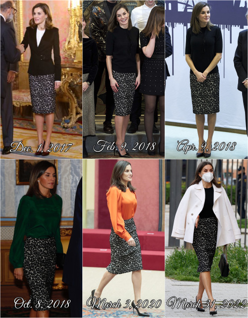 Letizia recycling a leopard print skirt by Roberto VerinoDecember 1, 2017: Meeting of the patronages