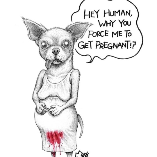 haladeliyim:  Stop Animal Cruelty!  (via Instagram - Artist Unknown) 