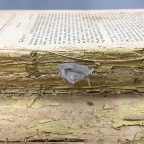 msulconservationlab: Surprise!  I was excited when the binding of the book started to fall away