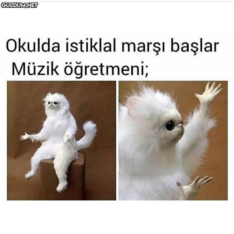 AKHSSKHSJAHA Okulda...