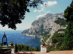 allthingseurope:  Capri, Italy (by VV Nicnic)