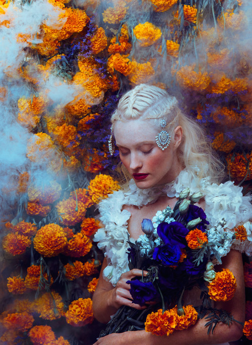 hifructosemag:  The women in Zhang Jingna’s photographs look so pristine that at a first glance, they appear painted. The New York-based artist styles them in flowing, ruffled gowns and adorns them with flowers and jewels. See more on Hi-Fructose.