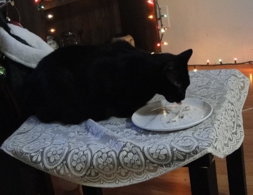 May I present the Thanksgiving “Kitty Table” ? (submitted by @kindnessiseternal)