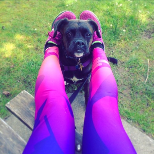 she was being all noble and solemn when I took a glamour shot of my leggings, but when we sat down o