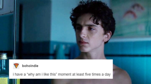 callmetimothee:elio perlman + tumblr text posts