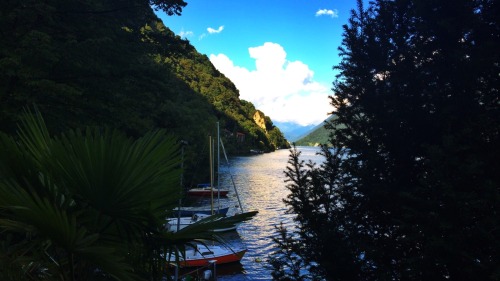 myfavoriteplayground:  Lugano - August 2014 porn pictures