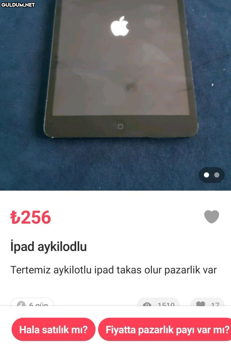 256 İpad aykilodlu...