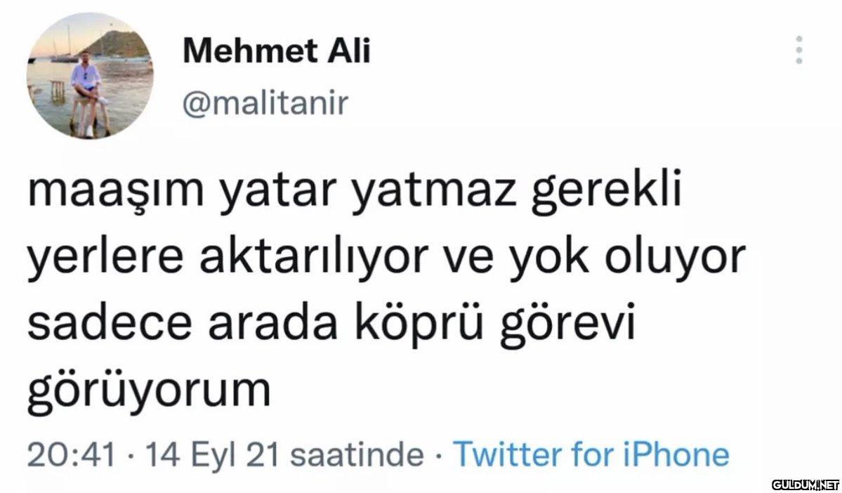 Mehmet Ali @malitanir...