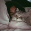 basma-9:  ‪i’m a hard person to deal with, but also a person that would give