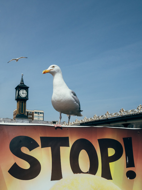 Amateur Photographer x Olympus Photowalk On Wednesday 13th June I headed to Brighton to take part in