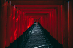 ourbedtimedreams:The Red Pathway by peter