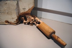 thebeardsnotes:  Skeletal Creatures Carved Out Of Everyday Objects Artist - Maskull Lasserre 