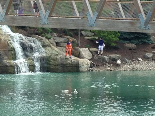 cutie-sunraye:  Aaand some silly pictures we took during our convention experience AS WELL AS SOME CRAZY NATURO COSPLAYERS TAKING PICS DOWN BY THE ROCKS. Sapphire is unicorndreamingsRuby is aces-awayPearl is me Amethyst is megidownConnie and Kuroko