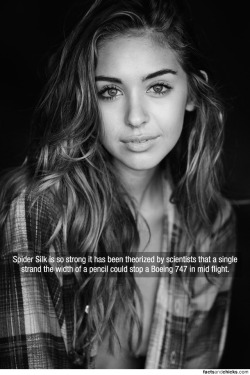 factsandchicks:  Spider Silk is so strong it has been theorized by scientists that a single strand the width of a pencil could stop a Boeing 747 in mid flight.source