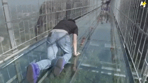 nun-extraordinaire:  ahoe-n-ahalf:  penelope-neptune:  sixpenceee:  A very long glass bridge in Zhangjiajie National Forest Park in China’s Hunan Province is terrifying tourists. (Video)  Lol fuck no. Nope. No.  Fuck yes  I’d die 
