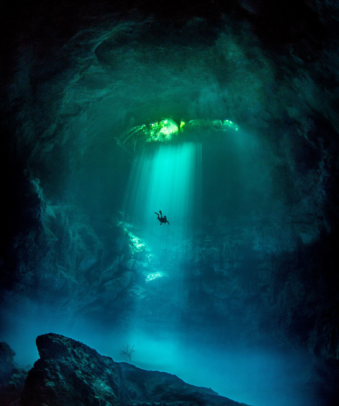 opticxllyaroused:    This Beautiful Underwater Cavern Vista Was Taken Beneath a Jungle