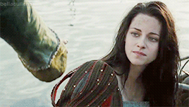 bellacullens:I AM LEARNING TO SHARPEN MY TEETH AND RULE KINGDOMS, INSTEAD.