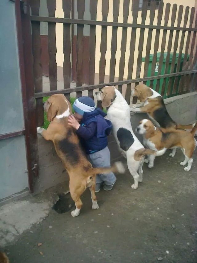 cute-overload:  One of these things is not like the otherhttp://cute-overload.tumblr.com