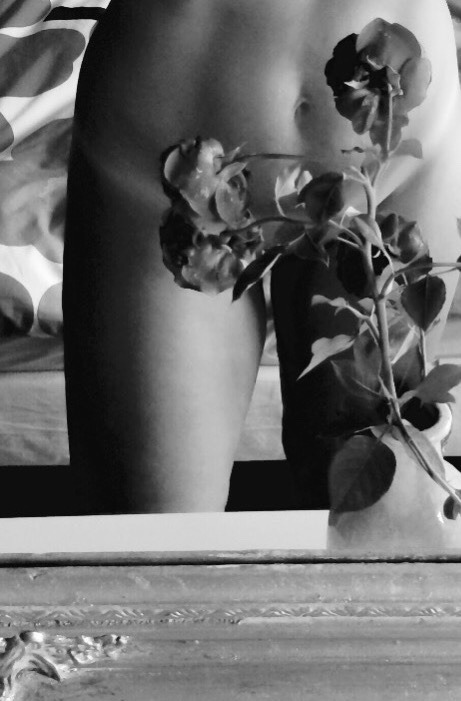 india-florine:  Roses.   Copyright by india-florine 