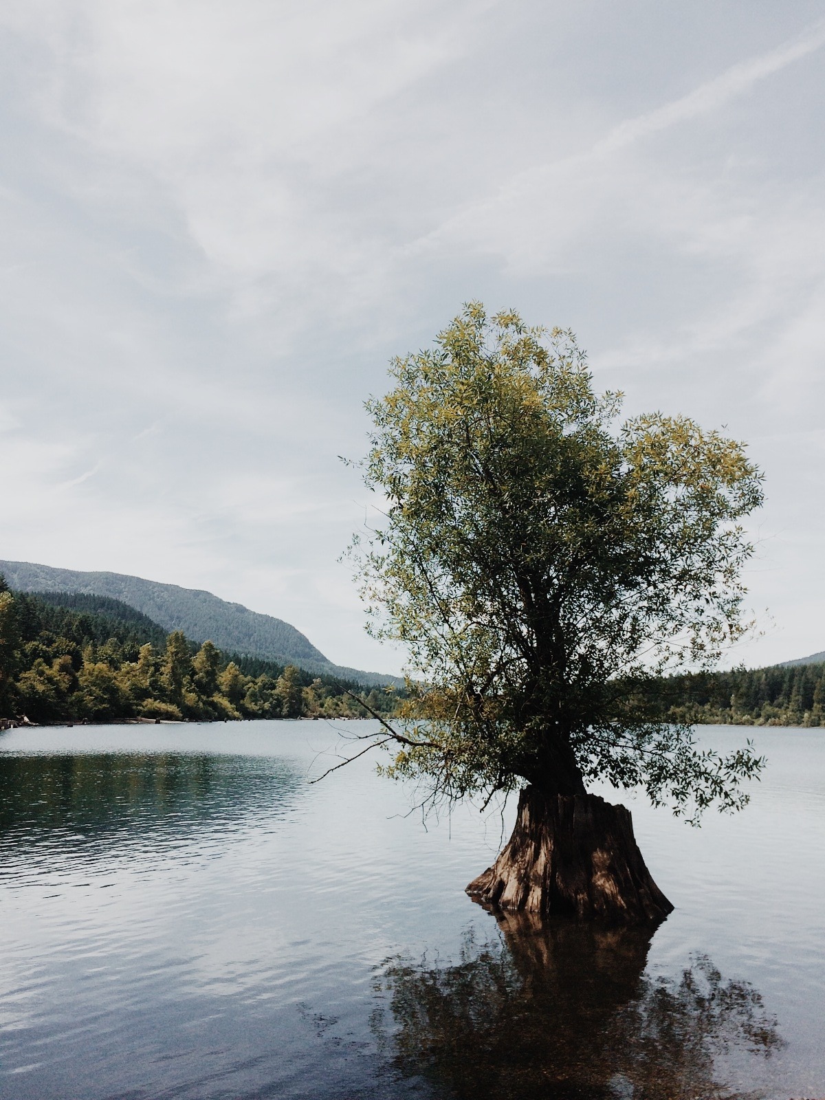 danielodowd:  JC Envisions